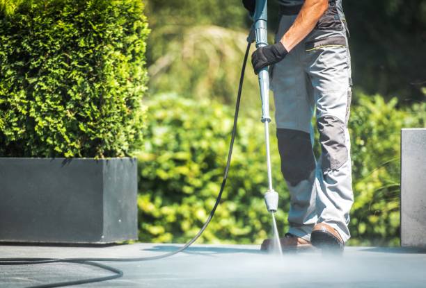 Best Paint Preparation  in Weston, OH