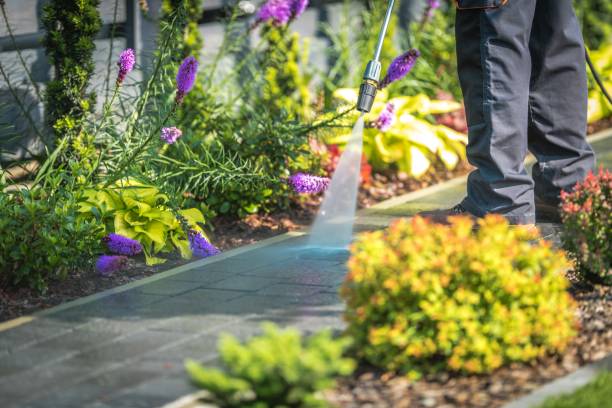 Best Parking Lot and Garage Cleaning  in Weston, OH