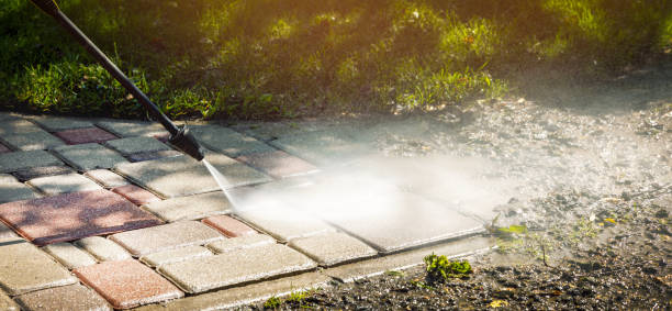 Animal Enclosure Cleaning in Weston, OH